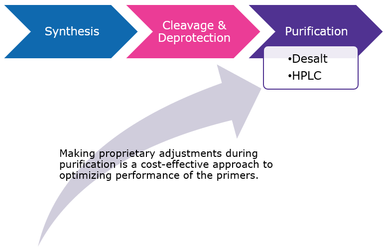 High-level overview of the main steps used in the manufacturing process for Custom LAMP Primers (steps upstream from Synthesis and downstream from Purification have been omitted for simplicity). Graphical representation of the Primer purification process
