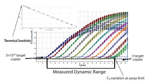 An example of high reproducibility and wide range of detection using a serial dilution of linearized plasmid