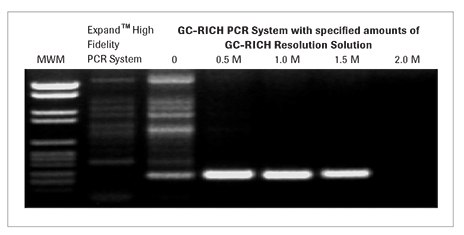 Amplification of a 264 bp template (74% GC content) within the human ApoE gene using the GC-RICH PCR System or the Expand High Fidelity PCR System. gc-rich-pcr-system-02