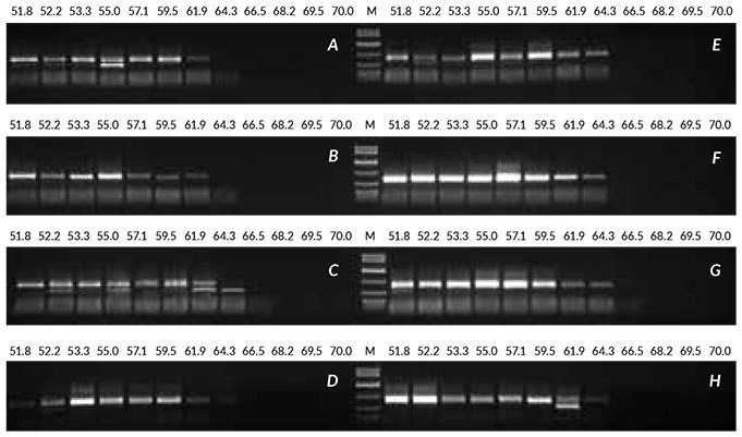 Optimization crude sample linseed Results obtained with optimization of crude sample from linseed