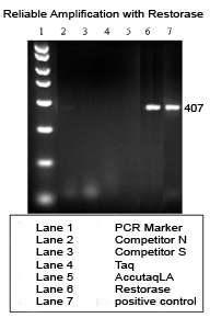 Restorase DNA Polymerase Amplification Restorase DNA Polymerase Amplification
