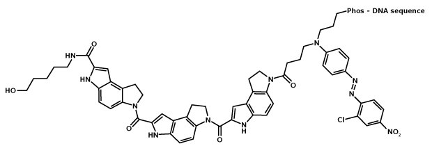 Structure of MGB:EDQ. MGB, or CDPI3, is the tripeptide of dihydropyrroloindole-carboxylate, and its boomerang curvature allows it to align to the shape of and thereby strongly bind to the minor groove of B-form DNA. Chemical structure of minor groove binder with Eclipse Dark Quencher (MGB:EDQ)