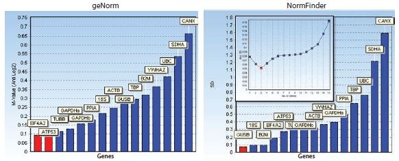 Bar diagrams showing stability measures