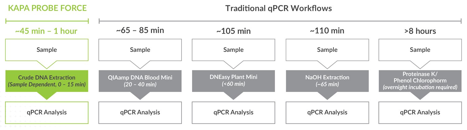 Streamline sample-to-Cq workflows