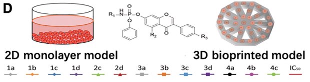 An illustration of 13 amino acid-based flavone phosphoramidates placed in a solution showing their 1D monolayer model and then converted to their 3-D bioprinted model.