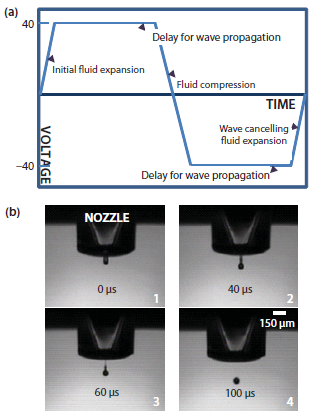 Piezo Inkjet