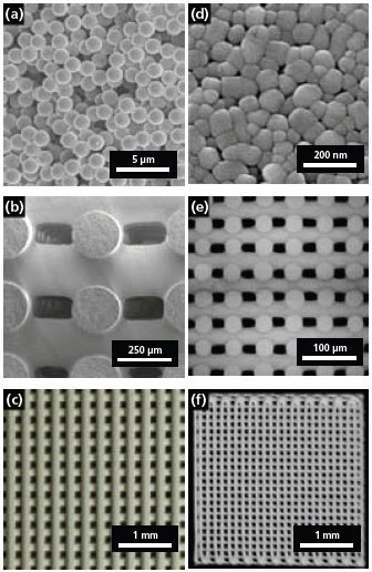 SEM micrograph of the model colloidal ink