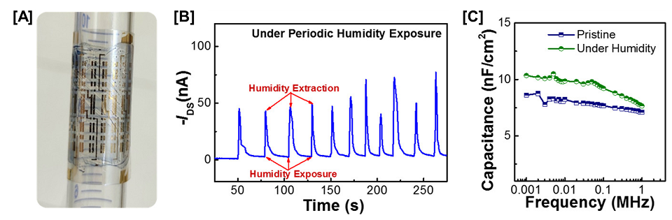 OFET array with gelatine dielectric, drain-source current of the gelatine OFET under periodic exposure to humid air, and an increase in the capacitance of the gelatine layer. with humudity OFET array with gelatine dielectric shown wrapped around a glass tube, a graph of drain-source current of the gelatine OFET under periodic exposure to humid air, and a graphical representation showing the increase in the capacitance of gelatine layer with an increase in humidity.