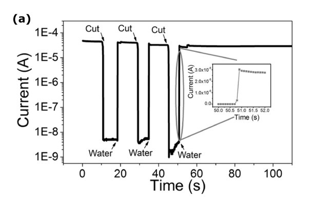 This graph illustrates the water-induced electrical healing of PEDOT:PSS film. It presents a current versus time plot, demonstrating sharp drops in current when the film is cut, followed by a rapid return to near the original current level upon the addition of water. The graph visually captures the self-healing behavior of the film, showcasing its ability to recover from damage caused by cuts. This phenomenon is crucial for applications requiring robust and resilient materials, particularly in the field of flexible electronics and biomedical devices. This graph illustrates the water-induced electrical healing of PEDOT:PSS film. It presents a current versus time plot, demonstrating sharp drops in current when the film is cut, followed by a rapid return to near the original current level upon the addition of water. The graph visually captures the self-healing behavior of the film, showcasing its ability to recover from damage caused by cuts. This phenomenon is crucial for applications requiring robust and resilient materials, particularly in the field of flexible electronics and biomedical devices.