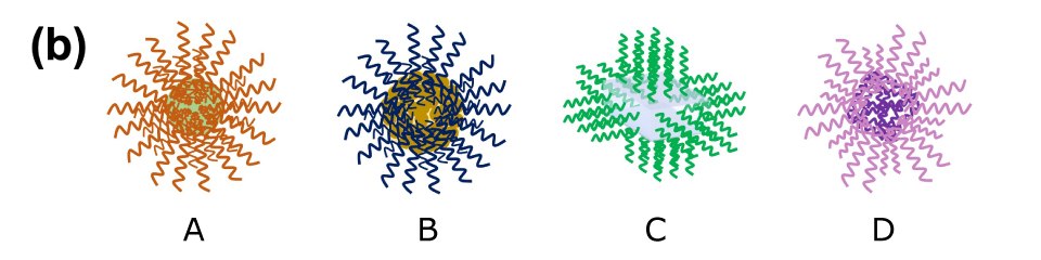 The illustration depicts four types of DNA-functionalized core particles labeled A, B, C, and D in various colors, showcasing the diversity of DNA-functionalized core particles. These different types of functionalized core particles represent a range of materials, including metallic nanoparticles, MOF structures, hydrogels, proteins, etc., highlighting their potential for tailored applications in nanotechnology, biotechnology, and materials science. The illustration depicts four types of DNA-functionalized core particles labeled A, B, C, and D in various colors, showcasing the diversity of DNA-functionalized core particles. These different types of functionalized core particles represent a range of materials, including metallic nanoparticles, MOF structures, hydrogels, proteins, etc., highlighting their potential for tailored applications in nanotechnology, biotechnology, and materials science.
