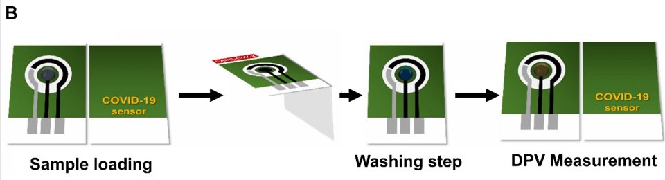 Electrochemical detection of SARS-CoV-2. A1) Schematic representation of PNA-based ePAD. A2) Representation of electroanalytical measurement using a smartphone-based potentiostat. Reproduced with permission from reference 9, copyright 2023 Elsevier. B) Design and the detection procedure using paper-based electrochemical immunosensor dedicated to detection of SARS-CoV-2. Reproduced with permission from reference 23, copyright 2023 Elsevier. Design and the detection procedure using paper-based electrochemical immunosensor dedicated to detection of SARS-CoV-2. Steps go from sample loading, device assembly by folding, washing step and DPV measurement