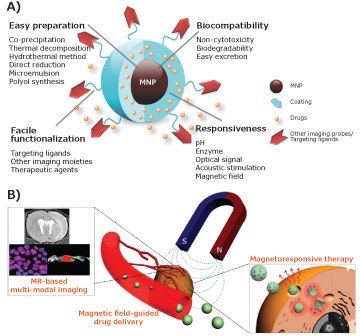 Magnetic nanoparticles (MNP): A) Advantages and properties for developing imaging applications, and B) some examples of biomedical applications. Adapted with permission from references 5 and 7 copyright 2016 Wiley-VCH and copyright 2015 ACS respectively. Magnetic nanoparticles (MNP)