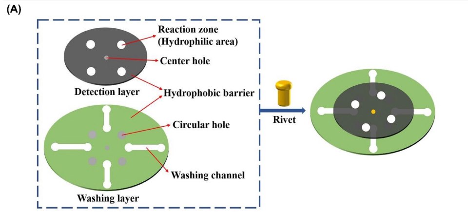 The image presents a graphical representation of a paper analytical device designed for the detection of SARS-CoV-2. It depicts the two layers of the device, with the upper detection layer featuring a reaction zone (hydrophilic area) and a hydrophobic barrier, while the lower washing layer includes a hydrophobic barrier and a washing channel. The two layers are held together by a rivet, creating the full device. This visual representation provides valuable insights into the design and structural elements of the paper analytical device, offering a clear depiction of the device's components and assembly, which are crucial for its functionality in detecting SARS-CoV-2. The image presents a graphical representation of a paper analytical device designed for the detection of SARS-CoV-2. It depicts the two layers of the device, with the upper detection layer featuring a reaction zone (hydrophilic area) and a hydrophobic barrier, while the lower washing layer includes a hydrophobic barrier and a washing channel. The two layers are held together by a rivet, creating the full device. This visual representation provides valuable insights into the design and structural elements of the paper analytical device, offering a clear depiction of the device's components and assembly, which are crucial for its functionality in detecting SARS-CoV-2.