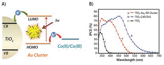 A) An illustration of the working principal of MCSCs. B) IPCE spectra (external quantum efficiency) of a photoelectrochemical cell using photoanodes composed of (a) TiO2-Aux-SH Cluster, (b) TiO2-CdS/ZnS, and (c) TiO2. Reproduced with permission from Reference4. Copyright American Chemical Society. Copyright American Chemical Society.