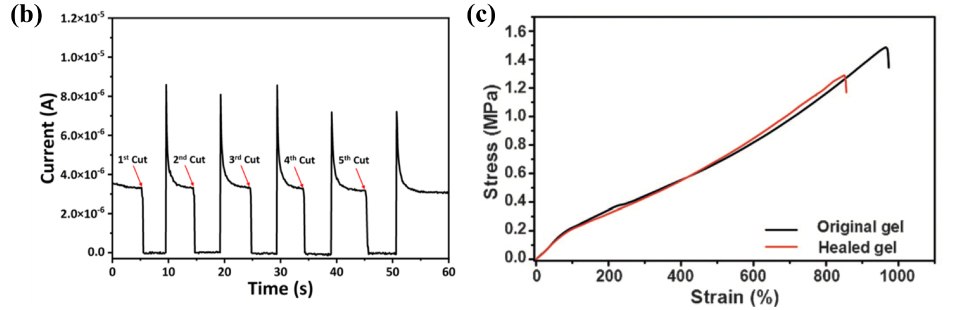 A) Illustration of SV3/PVA hydrogel preparation. B) Current vs. time plots upon several cutting-healing cycles for the SV3/PVA hydrogel showing repeated electrical self-healing. Reprinted with permission from reference 14, copyright 2022 Elsevier. C) Tensile stress vs. strain plots of the original and healed organohydrogels. Reprinted with permission from reference 16, copyright 2017 Wiley Online Library. The graph on the left labeled b, presents a current versus time plot, demonstrating the electrical self-healing behavior of SV3/PVA hydrogel. It showcases multiple cuts to the hydrogel, each resulting in sharp drops in current, followed by repetitive self-healing to the original level. The graph effectively captures the remarkable self-repair capabilities of the hydrogel, indicating its potential for applications requiring sustained electrical conductivity and resilience to damage. The graph on the right labeled c, compares the tensile stress versus strain behavior of the original and healed organohydrogels. It visually demonstrates that the original gel can handle higher stress than the healed gel, indicating the impact of the healing process on the mechanical properties of the material. The graph provides valuable insights into the mechanical behavior of the organohydrogels before and after healing, shedding light on their potential for use in applications requiring robust and resilient materials with tailored mechanical properties.