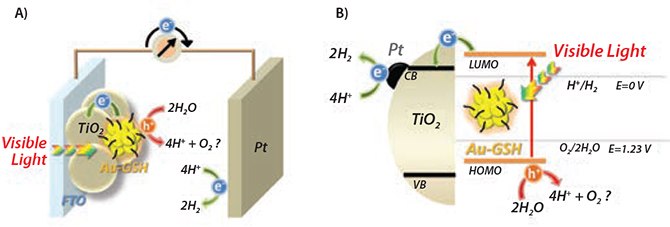 Schematic of the working principle of (A) Aux-GSH sensitized TiO2 film as a photoanode of a photoelectrochemical cell (PEC) and (B) Aux-GSH sensitized Pt/TiO2 NPs photocatalytic system for water-splitting reaction under visible light illumination. Reproduced with permission from Reference6. Copyright American Chemical Society. Schematic of the working principle