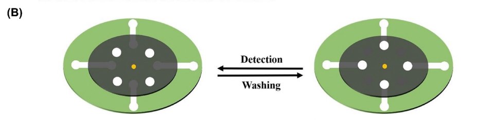 The schematic illustrates the working process of the analytical device, showcasing the difference between the detection and washing functions, which are controlled by rotating the washing layer. This visualization offers a clear understanding of the operational principles of the device, particularly the mechanism for transitioning between the detection and washing phases. The schematic effectively communicates how the device's components and design enable the controlled manipulation of fluids, contributing to the accurate and reliable detection of SARS-CoV-2 and other analytes. The schematic illustrates the working process of the analytical device, showcasing the difference between the detection and washing functions, which are controlled by rotating the washing layer. This visualization offers a clear understanding of the operational principles of the device, particularly the mechanism for transitioning between the detection and washing phases. The schematic effectively communicates how the device's components and design enable the controlled manipulation of fluids, contributing to the accurate and reliable detection of SARS-CoV-2 and other analytes.
