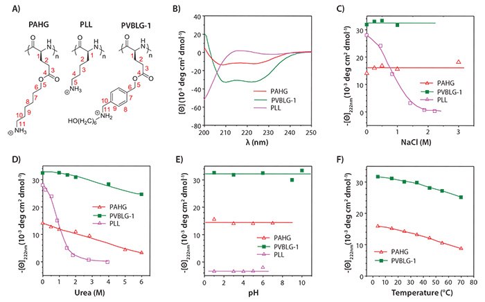 <b>A)</b> Chemical structure of PAHG, PLL, and PVBLG-1. <b>B)</b> Circular dichroism (CD) spectra of PAHG, PVBLG-1, and PLL in aqueous solution at pH 3. <b>C)</b> Salt concentration dependence of residue molar ellipticity at 222 nm for PAHG and PVBLG-1 at pH 3 and PLL at pH 10. <b>D)</b> The helical stabilities of PAHG and PVBLG-1 at pH 3 and PLL at pH 10 in the presence of urea. <b>E)</b> The pH dependence of the residue molar ellipticity at 222 nm for PAHG, PVBLG-1, and PLL. <b>F)</b> Temperature dependence of residue molar ellipticity at 222 nm for PAHG and PVBLG-1 at pH 3. Chemical structure