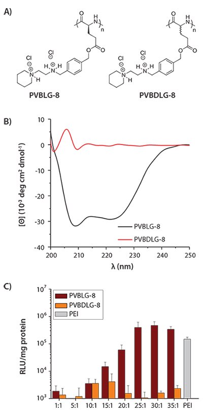 <b>A)</b> Chemical structure of helical PVBLG-8 and random-coiled PVBDLG-8. <b>B)</b> CD spectra of PVBLG-8 and PVBDLG-8 in aqueous solution at pH 7.4. <b>C)</b> In vitro transfection of PVBLG-8/pCMV-Luc complexes and PVBDLG-8/pCMV-Luc complexes in COS-7 cells at various molar ratios of amine to phosphate (N/P ratios). PEI (25 kDa) was included as a control. Chemical structure of helical PVBLG-8 and random-coiled PVBDLG-8