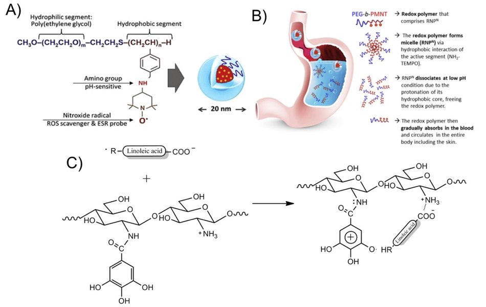 Chemical structure of pH-sensitive antioxidant polymer nanoparticles Struktura chemiczna wrażliwych na pH antyoksydacyjnych nanocząstek polimerowych zawierających segment hydrofilowy (poli(glikol etylenowy) PEG), wrażliwą na pH grupę aminową i zmiatacz ROS (rodnik nitrotlenkowy)