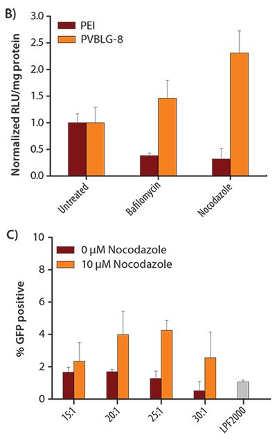 <b>B)</b> <i>In vitro</i> transfection of COS-7 cells treated with complexes of 25 kDa PEI or PVBLG-8 in the presence of intracellular inhibitors. The polymer concentration was fixed at 10 μg/mL. <b>C)</b><i> In vitro</i> transfection of H9 human embryonic stem cells (hESC) with PVBLG-8 in the presence and absence of 10 μM nocodozole. Commercial transfection agent LPF2000 was included as a positive control. In vitro transfection of COS-7 cells treated with complexes