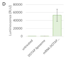 NanoFabTx™ Luminescence Cells transfected with mRNA delivered in DOTAP liposomes resulted in elevated luciferase expression evaluated via increased luminescence.