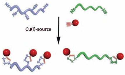 Schematic illustration of the functionalization of side and end groups of polymers using “click” chemistry. Schematic illustration of the functionalization