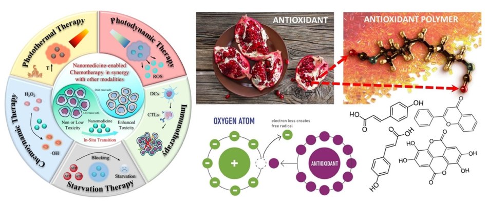 Schematic of various nanomedicine-enabled cancer therapies Schemat różnych terapii przeciwnowotworowych wykorzystujących nanomedycynę, które mogą działać w synergii z chemioterapią, w tym fototermiczną, fotodynamiczną, głodową, chemoynamiczną i immunoterapią.