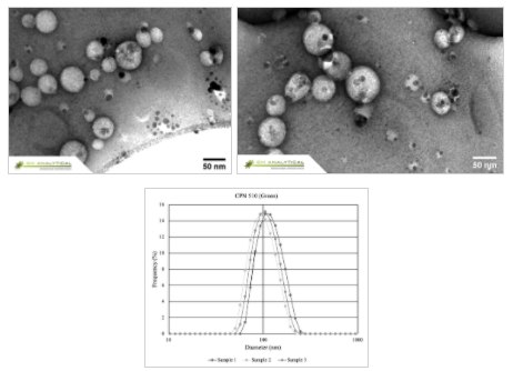 CPNs display excellent uniformity in size and shape, as shown in the Transmission Electron Microscopy (TEM) above, and Dynamic Light Scattering (DLS) below. CPNs display excellent uniformity in size and shape