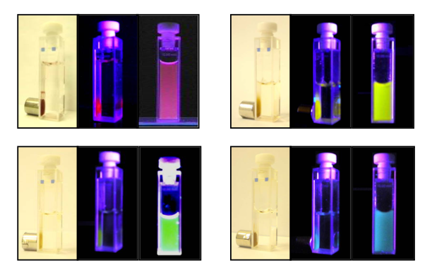 Solutions of CPNs under UV illumination and magnetic fields Solutions of CPNs under UV illumination and magnetic fields