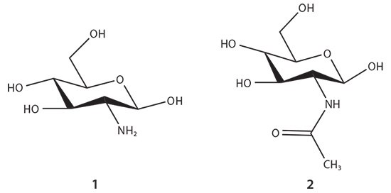 The glucosamine (1) and N-acetyl glucosamine (2) units of chitosan biopolymer