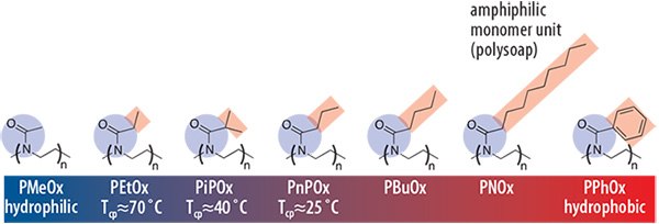 Water solubility of a series of poly(2-oxazoline)s