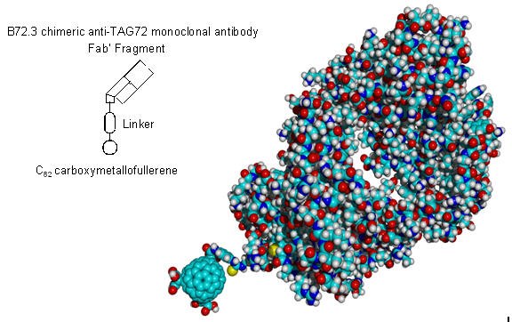 Hypothetical fullerene antibody conjugate constructed from a C82 carboxymetallofullerene and a chimeric B72.3 Fab’ antibody fragment.