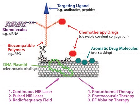 Schematic strategies of SWNTs-based drug-delivery and cancer therapy. Adapted from Reference 52. Schematic strategies of SWNTs-based drug-delivery and cancer therapy.