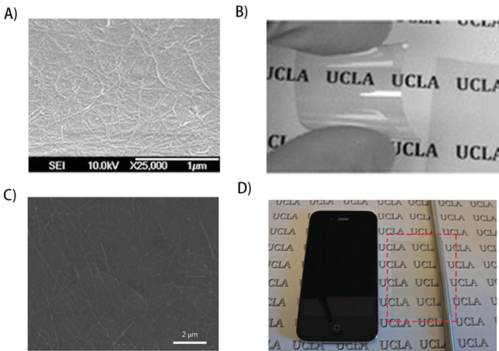 SEM image of conductive surface of the SWCNT-PtBA electrode SEM image of conductive surface of the SWCNT-PtBA electrode