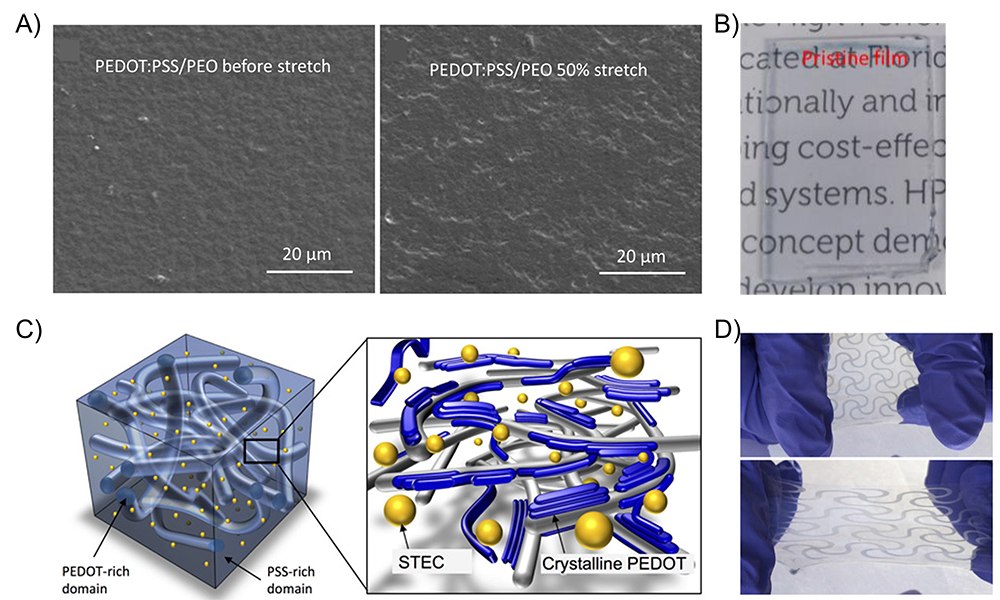 SEM images and Photographs of conductive surfaces of the PEDOT:PSS-PEO electrode SEM images and Photographs of conductive surfaces of the PEDOT:PSS-PEO electrode
