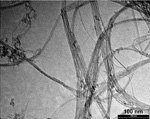 single-wall-carbon-nanotubes