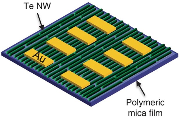 Schematic illustration of the device with 60 wt.% polymeric mica film as its substrate. Schematic illustration of the device with 60 wt.% polymeric mica film as its substrate