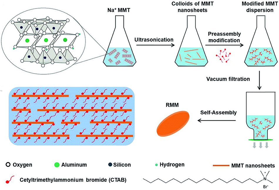 Fabrication of reconstructed MMT membrane (RMM) Fabrication of reconstructed MMT membrane (RMM)