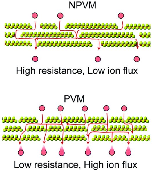 Schematic illustration highlighting the pathways of the lowest resistance of ion transport in a PVM Schematic illustration highlighting the pathways of the lowest resistance of ion transport in a PVM