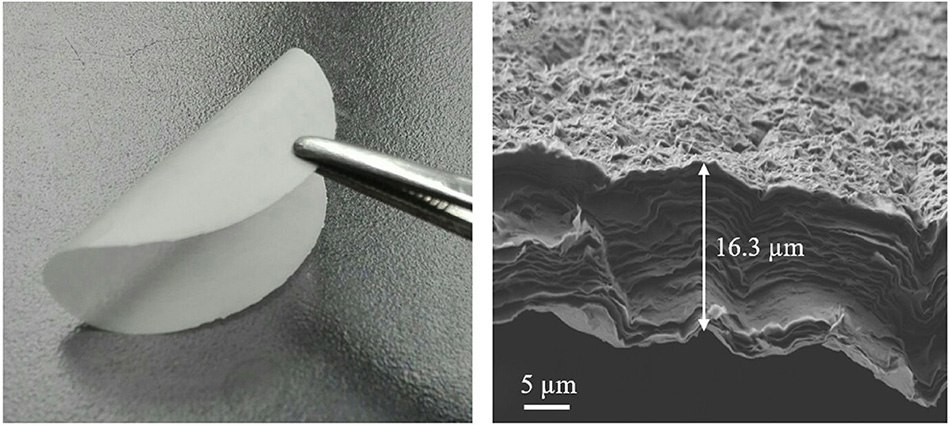 Digital photo MMT membrane and cross-sectional SEM image Digital photo MMT membrane and cross-sectional SEM image