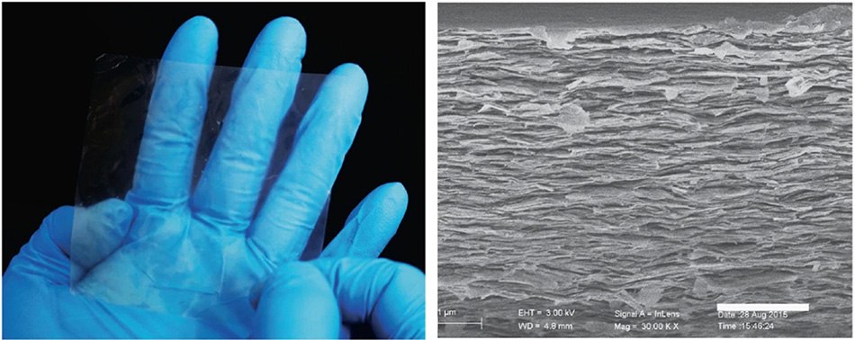 Photograph and cross-sectional SEM image (scale bar, 2 μm) of a 60 wt.% polymeric mica film Photograph and cross-sectional SEM image (scale bar, 2 μm) of a 60 wt.% polymeric mica film