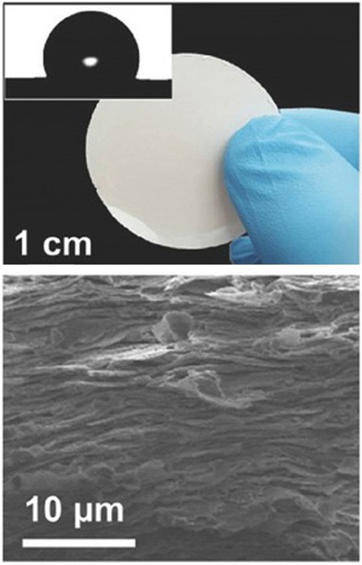 Photograph of RKM and SEM observation on the cross-section of the RKM Photograph of RKM and SEM observation on the cross-section of the RKM