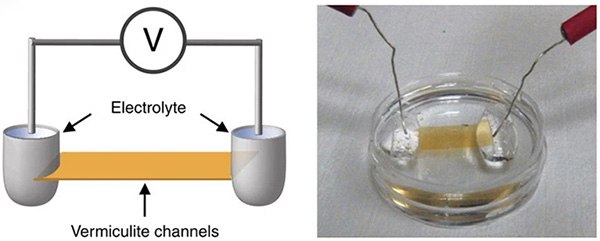 Schematic illustration and digital photo of the vermiculite nanofluidic device Schematic illustration and digital photo of the vermiculite nanofluidic device