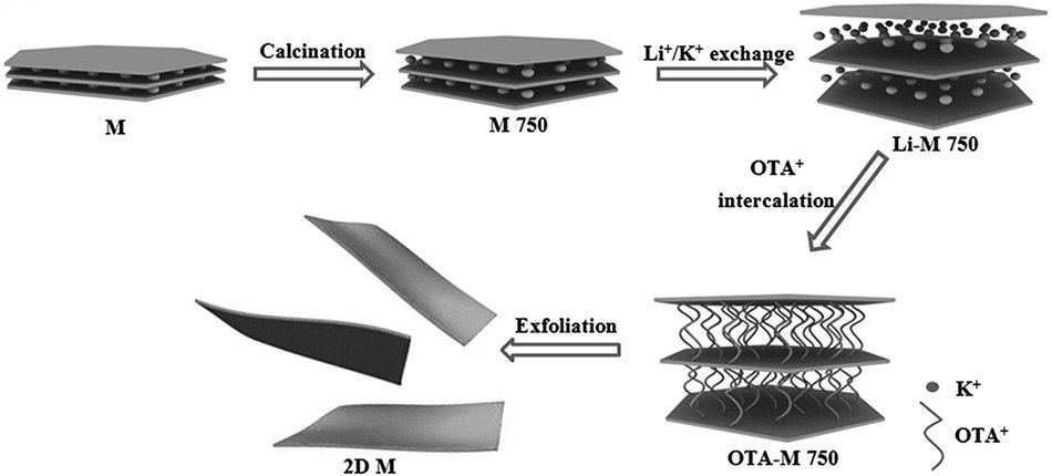 Schematic representation of 2D muscovite preparation Schematic representation of 2D muscovite preparation