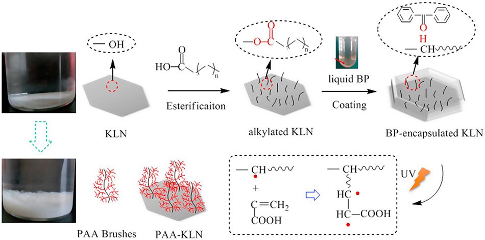 Schematic of preparation of PAA-KLM adsorbent Schematic of preparation of PAA-KLM adsorbent