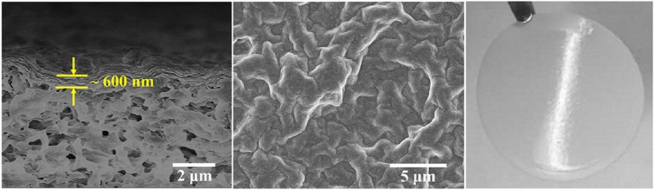 SEM image of MMT membrane surface, cross-section, and digital photograph of MMT membrane SEM image of MMT membrane surface, cross-section, and digital photograph of MMT membrane