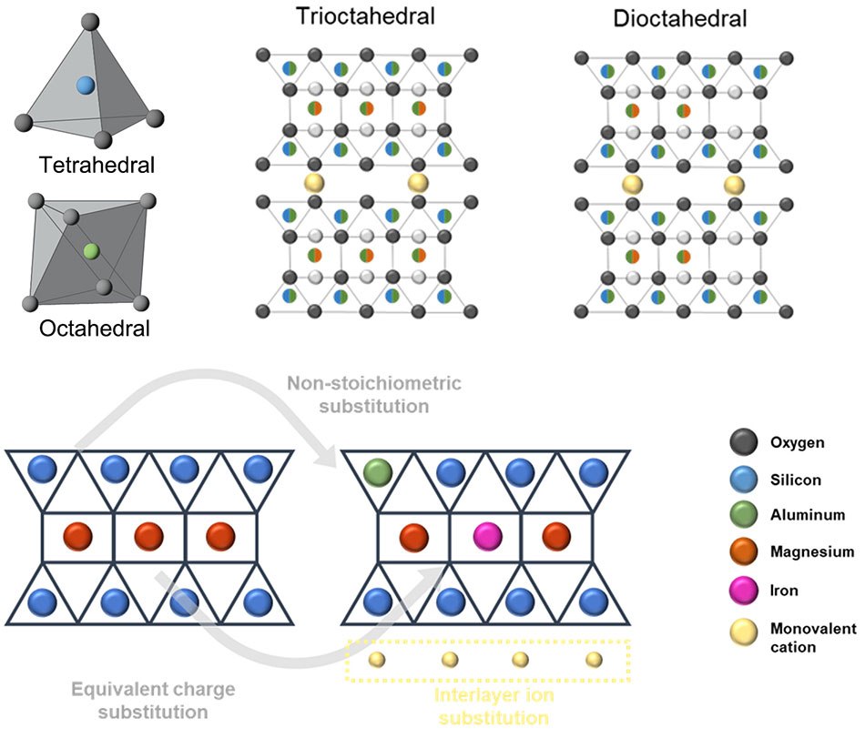 Schematic illustration of trioctahedral and dioctahedral structure with intercalation sites and pathways. Schematic illustration of trioctahedral and dioctahedral structure with intercalation sites and pathways.