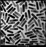 TEM image of typical gold nanorods. TEM image of typical gold nanorods