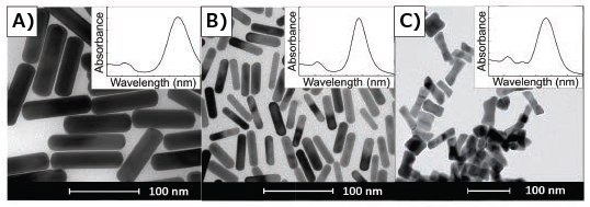 TEMs of gold nanorods demonstrating a correlation between absorbance spectra and anisotropic geometry of gold nanorods. Insets are typical corresponding UV/Vis spectra for the given shape, spanning 400–1,000 nm. A) Gold nanorods synthesized in binary surfactant system containing CTAB and BDAC. B) Gold nanorods synthesized using only CTAB. C) Dog bone- or dumbbell-shaped nanoparticles. TEMs of gold nanorods